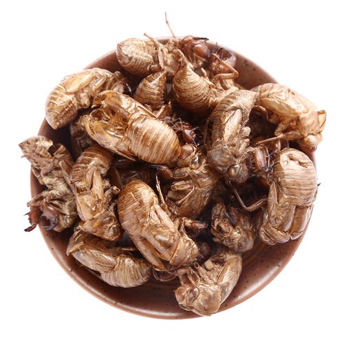 太医中药材蝉蜕100克蝉壳爬拉狗虫知了皮蝉水洗其他药食同源食品