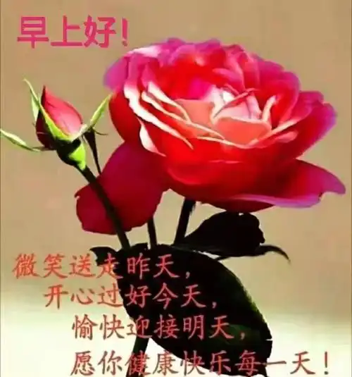 早上好表情图(20) - 美篇