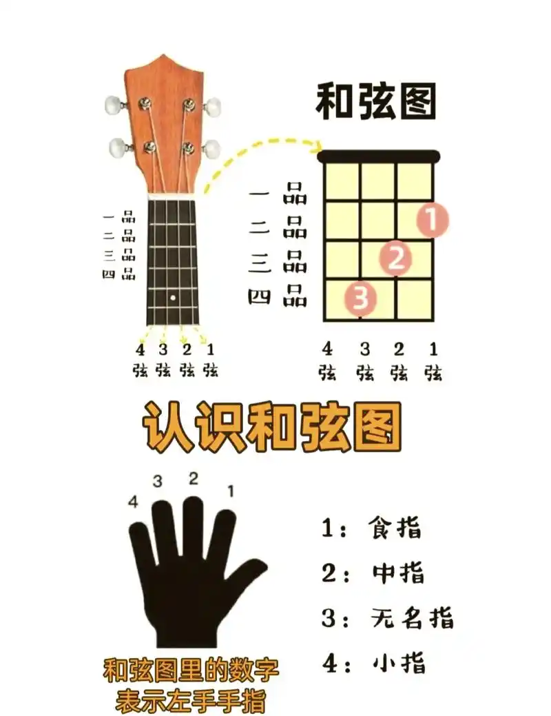 🎸尤克里里新手学习全攻略🎼