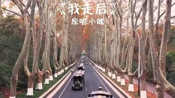 《我走后》小咪~或许爱过之后才懂得珍惜吧!