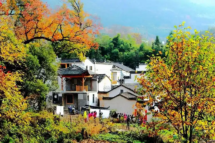 塔川徽州的一个小村庄每年秋天摄影爱好者必去的地方