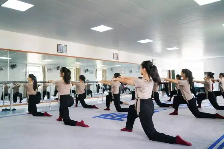 长沙专业高考舞蹈培训机构_舞蹈艺考集训班_训练_艺术_前提