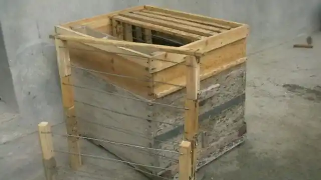 组合蜂箱系列篇(三)一一一"高手"还临不到我