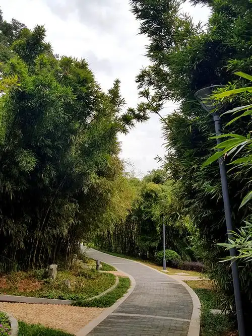 原创:手机随拍——菊花台公园