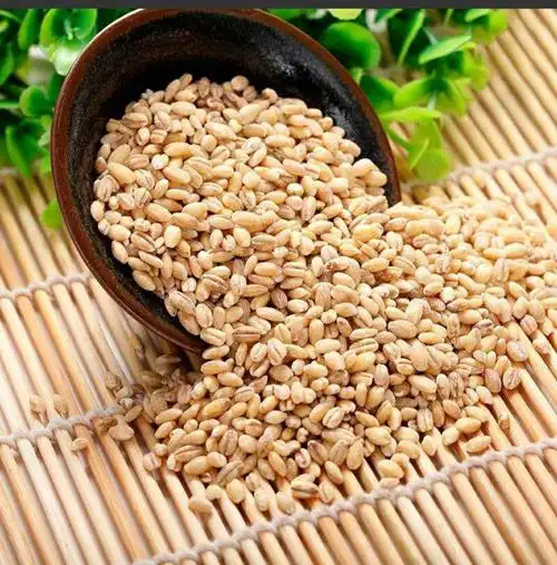 麦仁是小麦经过水湿润,再用简单的碾米机或碾子加工,脱去种皮就是麦仁