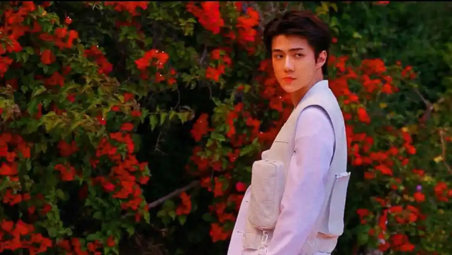 因为你是exo 所以我才成为了爱丽