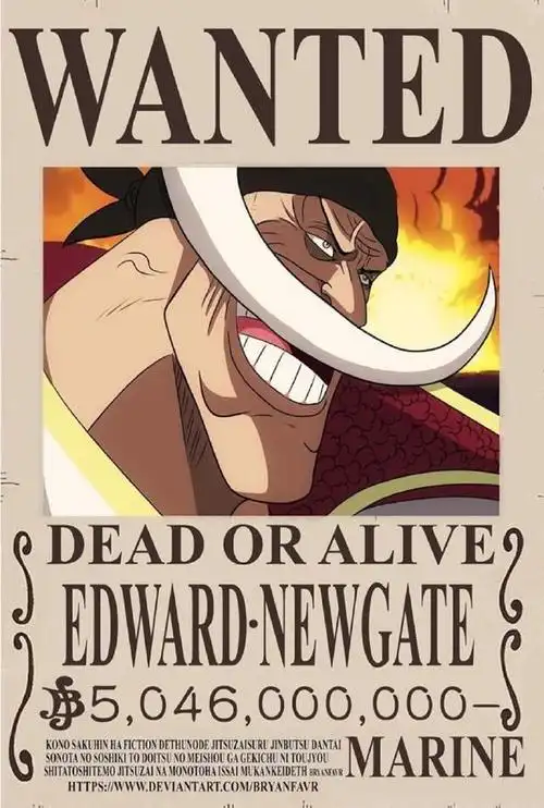 海贼王5位四皇的悬赏令合集白胡子最高黑胡子只有大妈一半