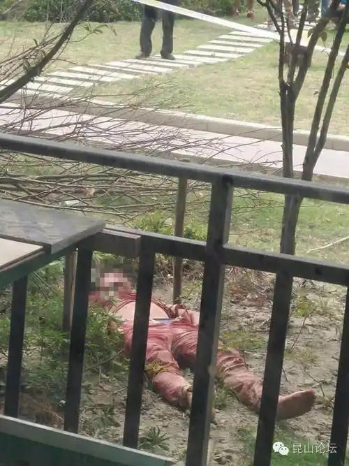 昆山2男子闹出人命了!一人跳楼身亡死相恐怖,一人凄惨倒在血泊中