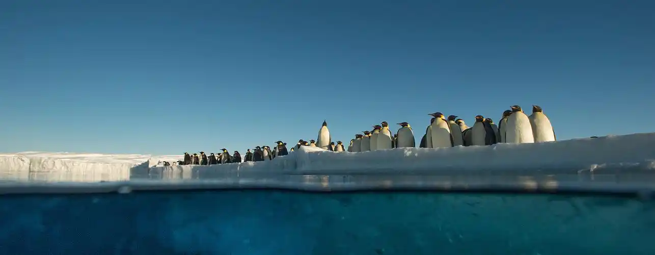 南极大陆:冰山之下