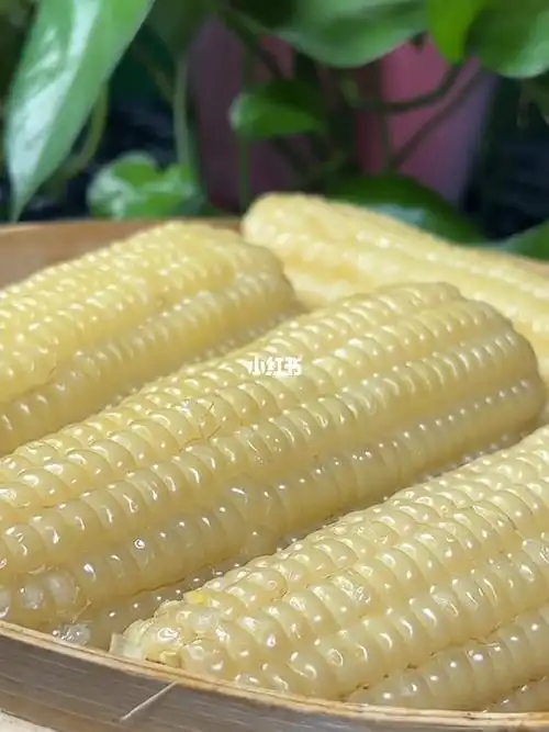 这么好吃的白糯玉米怎么没人推啊!赶紧冲啊