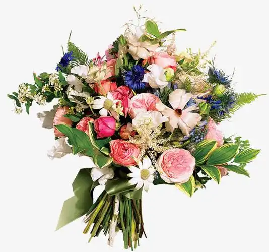 一束花手绘插画免抠素材免费下载_觅元素51yuansu.com