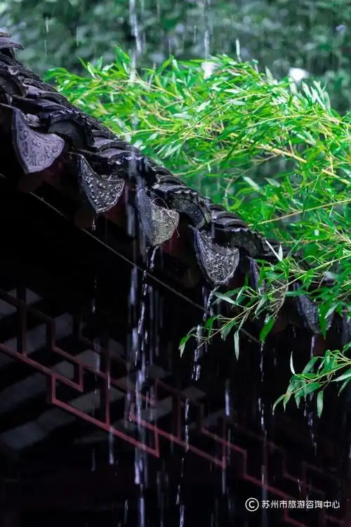 来到苏州我再也不吐槽梅雨季了
