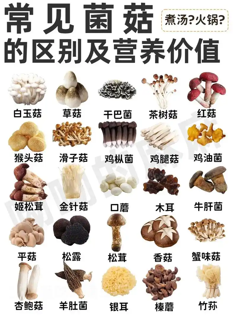 25种常见菌菇区别及营养价值96.#菌菇 #野生菌 #食用菌 - 抖音