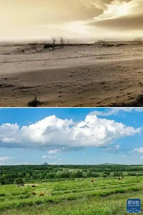 黄沙遮面河北塞罕坝将成为全球第一个消失的沙漠毛乌素沙漠榆林沙化