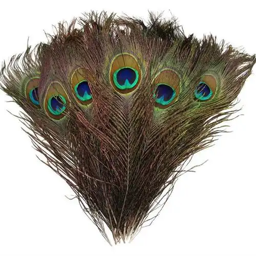 孔雀尾羽真孔雀羽毛25-130cm翎尾大眼睛diy饰品装饰花瓶专用孔雀毛 25