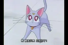 戴安娜(日本动画片《美少女战士》中的小猫)_百度百科