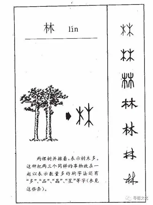 部首笔画:4简体部首:木造字法:木汉字结构:左右结构注音:ㄌㄧㄣˊ拼音