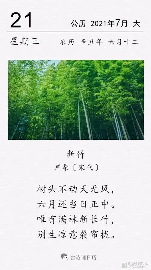 古诗词日历严粲新竹