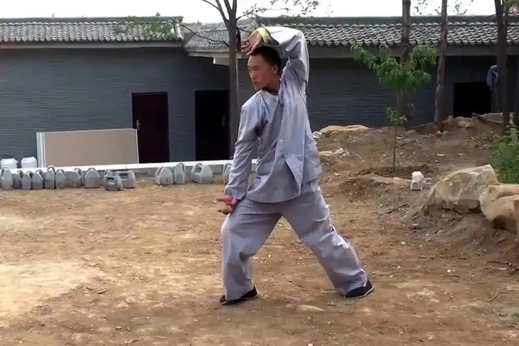 少林弟子演练少林吴古轮派小洪拳