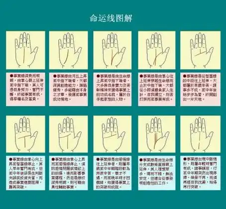 命运线,事业线,玉柱线图解