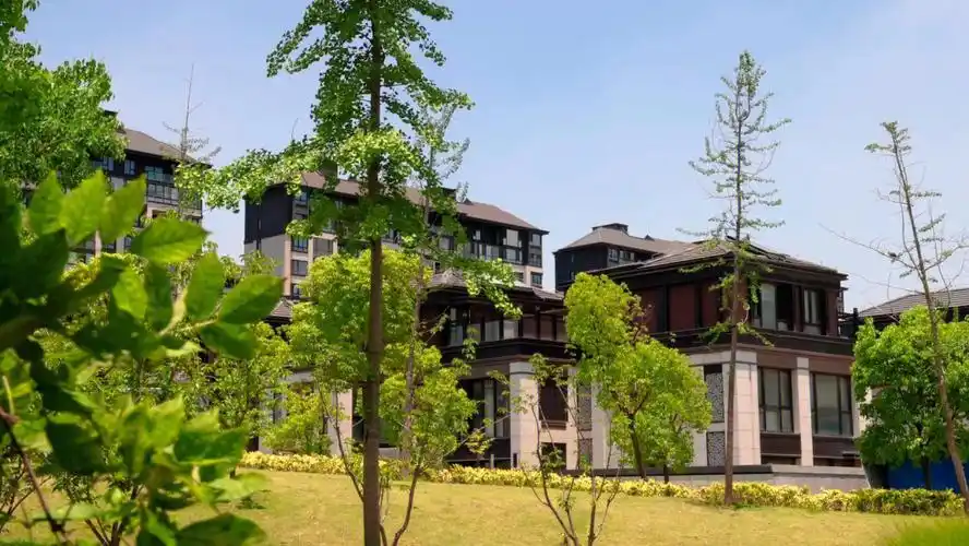 上海新房  #宝山新房  #上城院子别墅