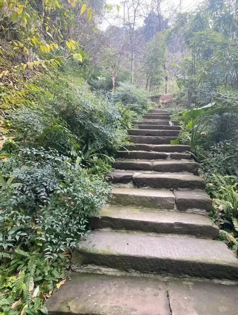 重庆市涪陵区大顺乡柏坪村2组(杨锋堂)#山清水秀 #石板 # - 抖音