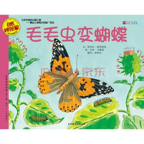 毛毛虫变蝴蝶 9787550206656 北京联合出版公司