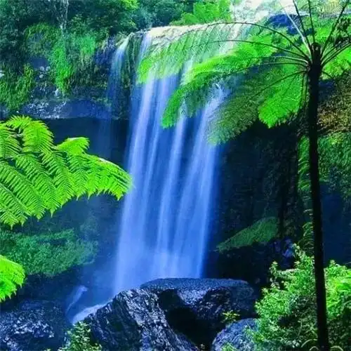 爸爸们爱用的头像 高清适合40岁以上父亲用的头像图片_微信头像_头像