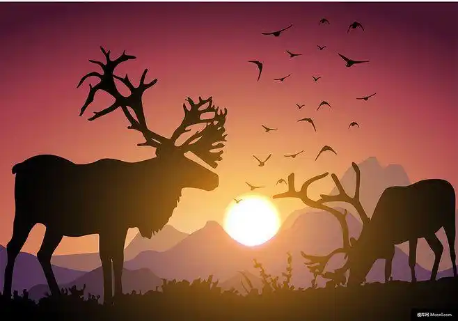 唯美风景湖泊夕阳户外自然剪影风景插画风景建筑插画绘画