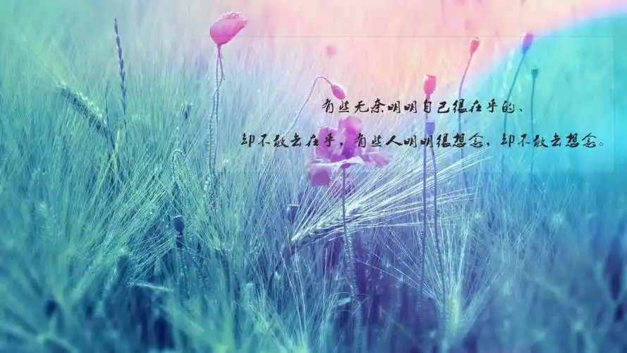 人生很无奈的伤感说说图片(2)_唯美图片