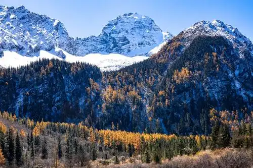 三千里红叶三千里江山!