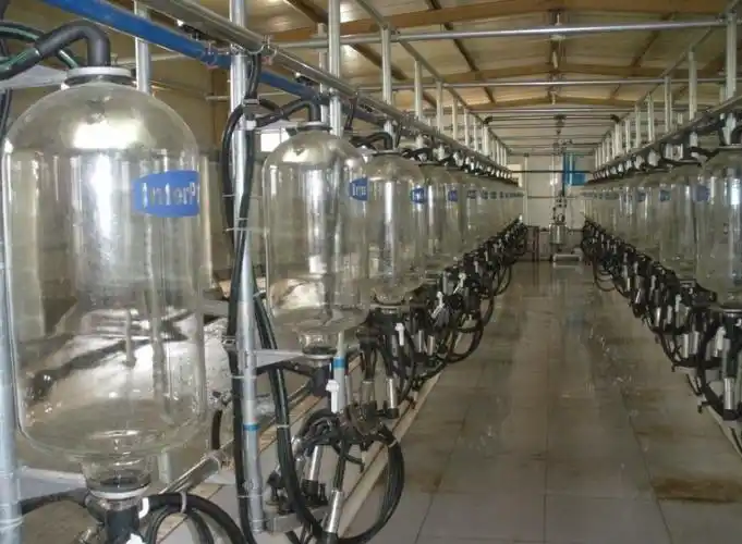 挤奶机设备,挤奶机,奶牛挤奶设备