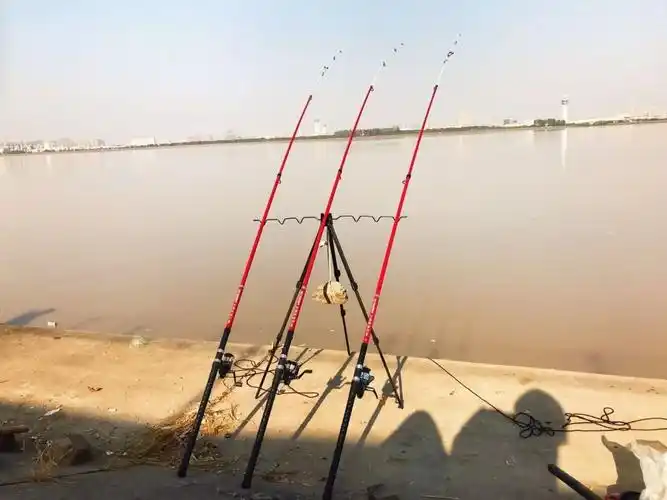 沙蚕这样挂诱钓结合可中大鲈鱼