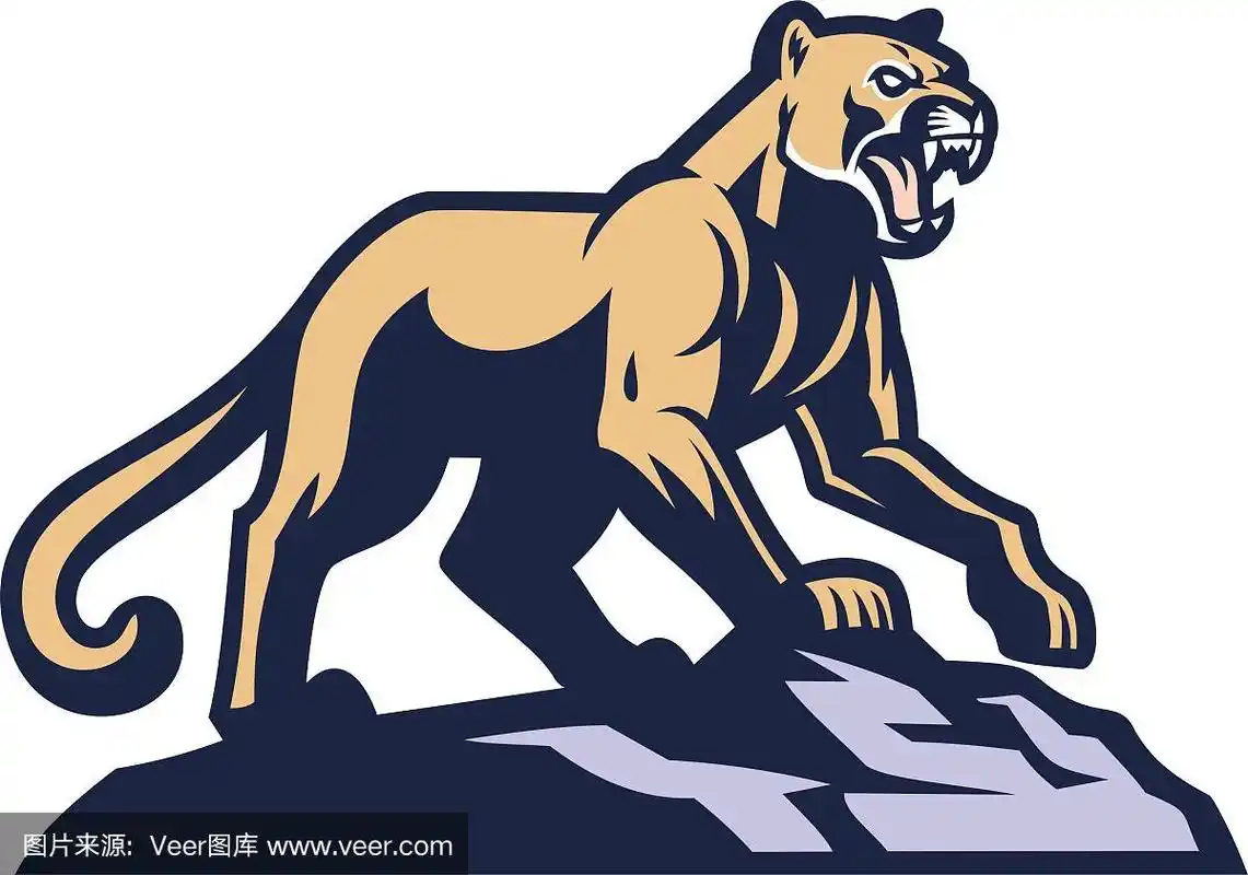 美洲狮吉祥物站在岩石上