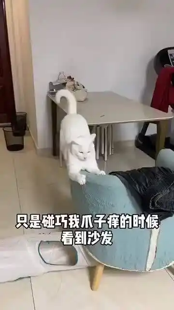 图图全球搞笑幽默百乐门