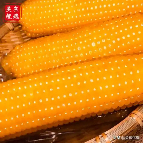 玉米煮多久能熟 玉米煮15分钟可以吗-北京百科网