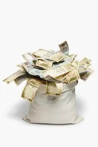 无人,竖图,白色背景,钱,丰富,包,钱币,夸张,钞票,金融,纸币,摄影,经济