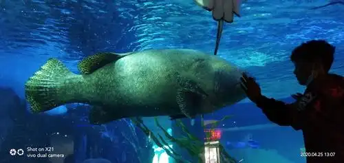 开封极地海洋馆