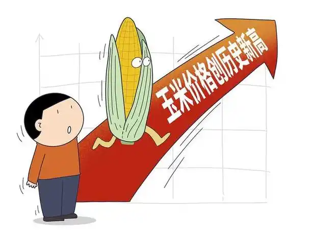 年后玉米价格上涨的原因有以下几点:天气因素:中东部地区出现了今冬