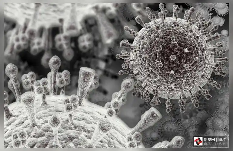 致命的美丽:显微镜下的病毒粒子-百态