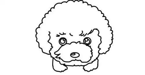 彩色呆萌泰迪狗简笔画怎么画 可爱泰迪狗简笔画步骤画法