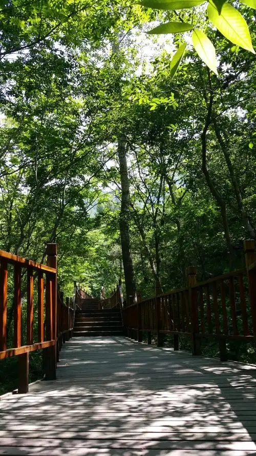 【携程攻略】延庆松山自然保护区好玩吗,延庆松山自然保护区景点怎么