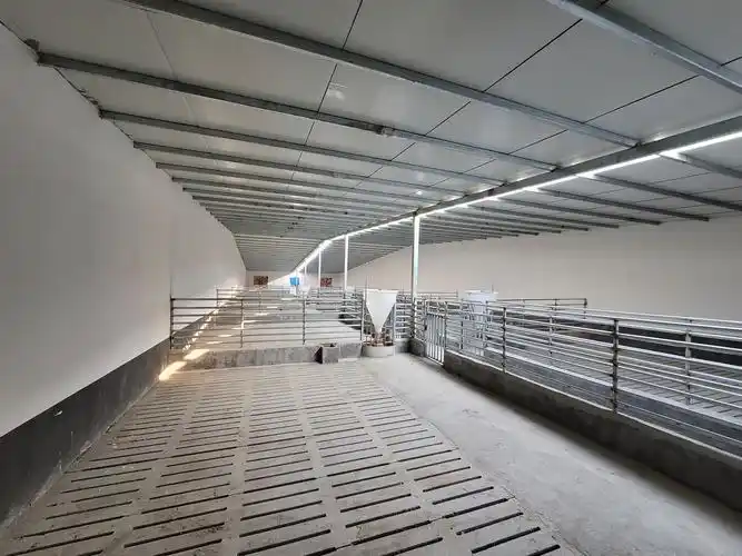 设计合理,装备先进的西华县恒瑞牧业有限公司5000头母猪的现代化养猪