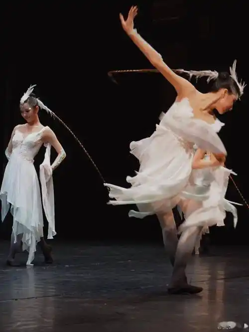 姜爱东老师编导的新舞作,美如画_白鹭_万物_自然