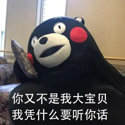 大宝贝什么梗