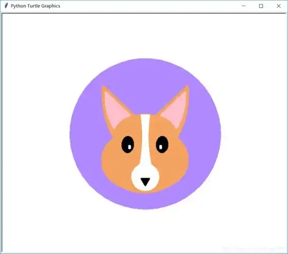如何用python画一只肥肥的柯基狗狗turtle库绘制椭圆与弧线实践