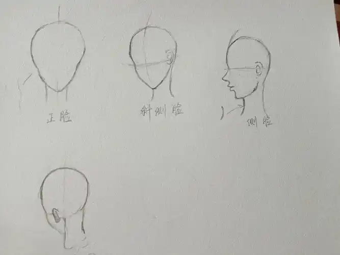 自学动漫人物1day头部