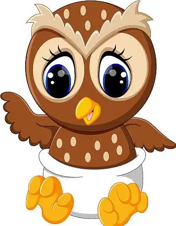 可爱的猫头鹰卡通