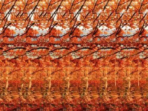 神奇三维立体图 对眼累眼 视力保护锻炼法