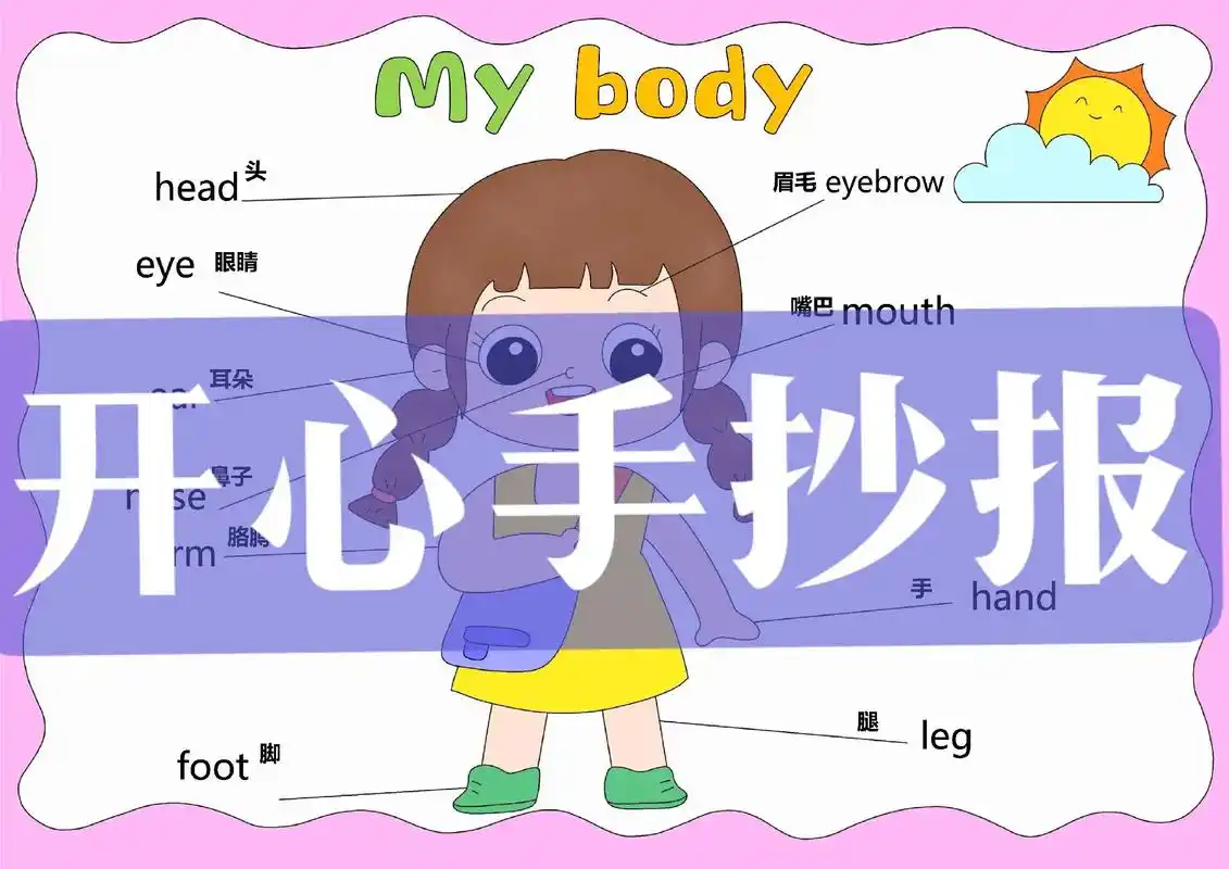 我的身体部位手抄报,my body我的身体部位英文英语手抄报 - 抖音